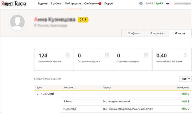 Сколько можно заработать за день в Яндекс Толоке